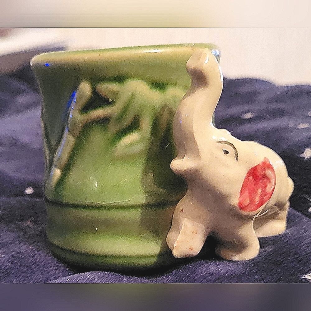 Succulent/bamboo decorative vase from China